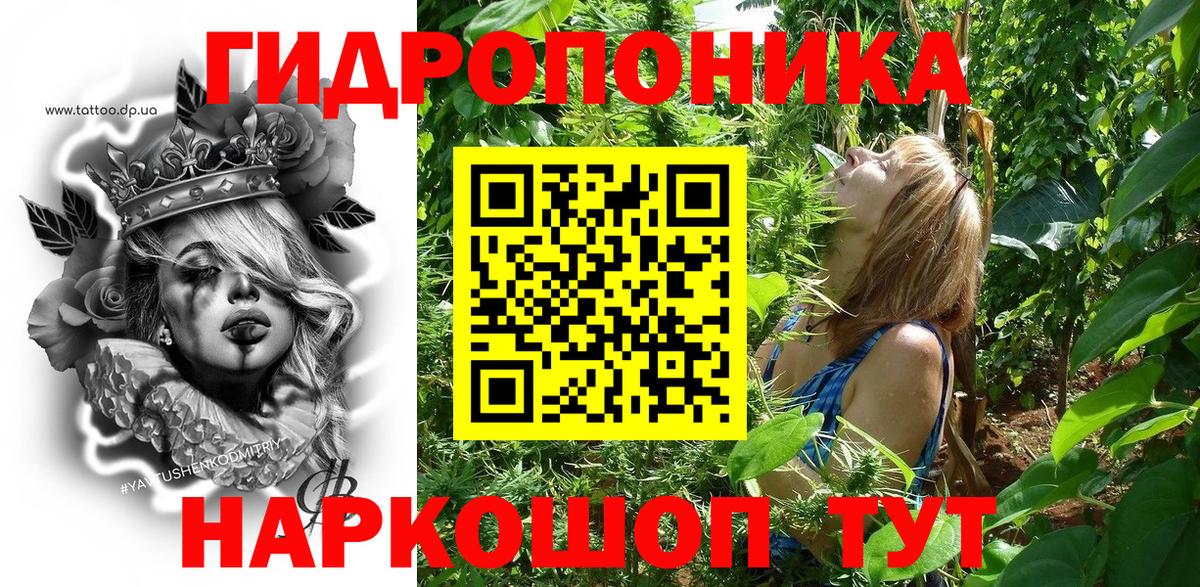 Бошки Шишки план Люберцы